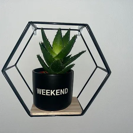 Appartement Comfort 101 *