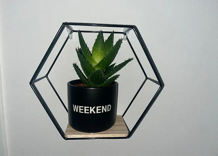 Apartman Comfort 101 *